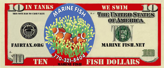 Save money at Marine Fish and Reef